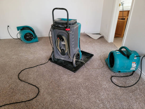 Best Carpet water damage restoration  in Auburn, MI