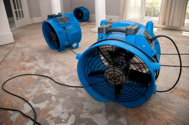 Best Commercial water damage restoration  in Auburn, MI